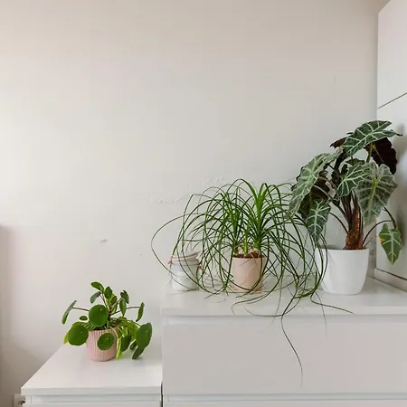 Beautiful And Spacious With Terrace *