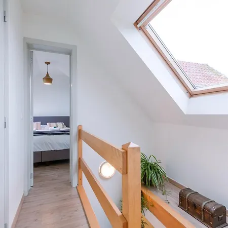 Beautiful And Spacious With Terrace *